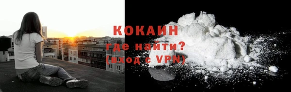 трава Няндома
