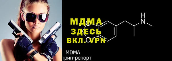 сатива Новокубанск
