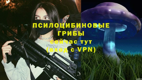 молекула духа Инта
