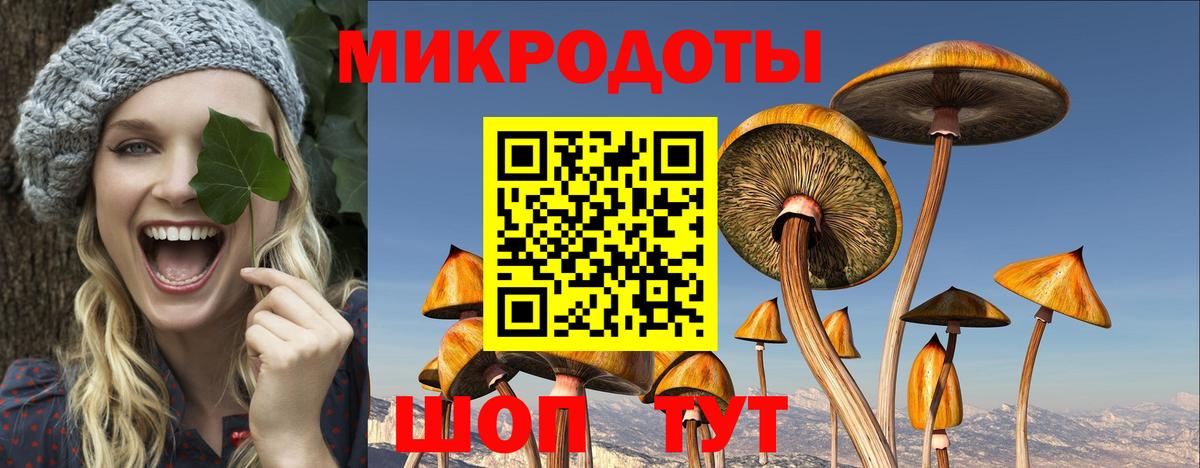 Псилоцибиновые грибы Cubensis Киреевск