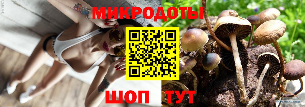 Киреевск  Галлюциногенные грибы MAGIC MUSHROOMS  Вход с VPN 
